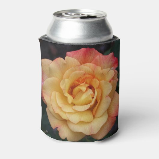Die Rose ist schön rosa und gelb Dosenkühler (Kanne Rückseite)