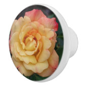 Die Rose ist schön rosa und gelb Keramikknauf (Rechts)