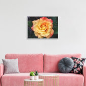 Die Rose ist schön rosa und gelb Leinwanddruck (Insitu (Wohnzimmer))
