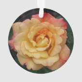 Die Rose ist schön rosa und gelb Ornament (Rückseite)