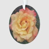 Die Rose ist schön rosa und gelb Ornament (Vorderseite)