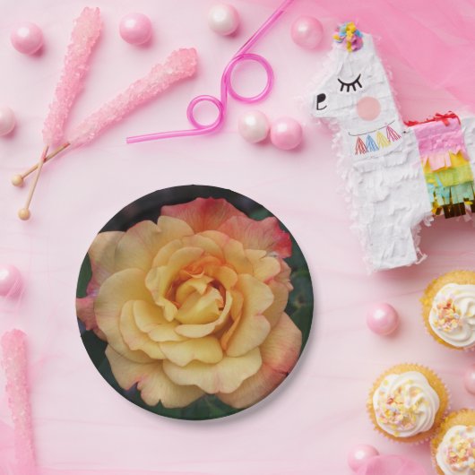 Die Rose ist schön rosa und gelb Pappteller (Party)