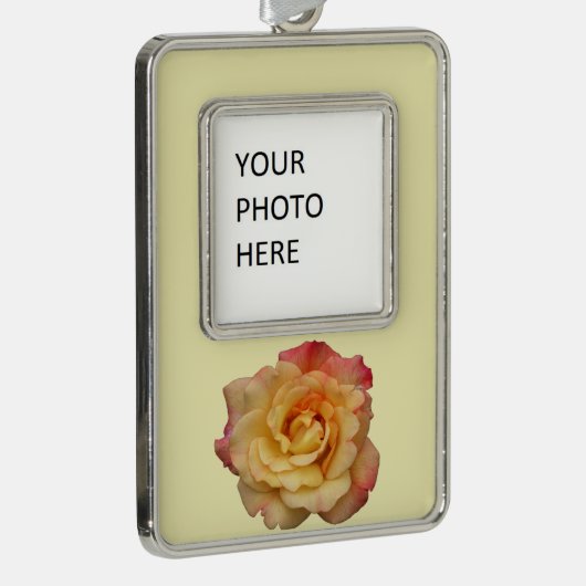 Die Rose ist schön rosa und gelb Rahmen-Ornament Silber (Rechts)