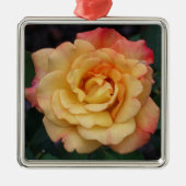 Die Rose ist schön rosa und gelb Silbernes Ornament (Vorne)