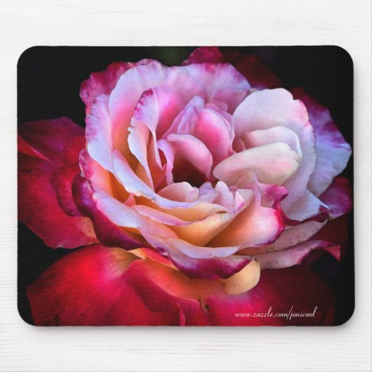 Die Rose Mousepad (Vorne)