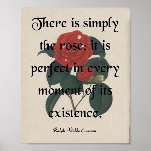 Die Rose Poster (Vorne)