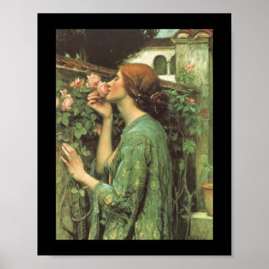 Die Rose Poster (Vorne)