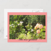 Die Rose Postkarte (Vorne/Hinten)