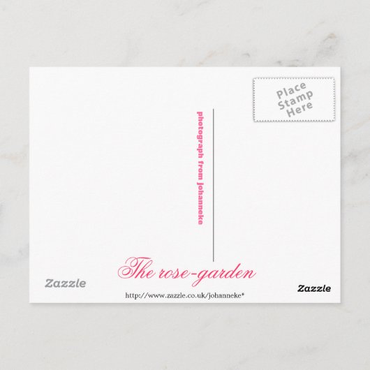 Die Rose Postkarte (Rückseite)