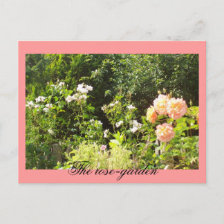 Die Rose Postkarte