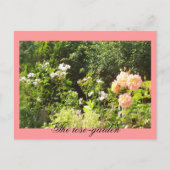 Die Rose Postkarte (Vorderseite)