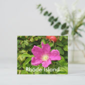 Die Rose Postkarte (Stehend Vorderseite)