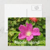 Die Rose Postkarte (Vorne/Hinten)