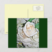 Die Rose_ Postkarte (Vorne/Hinten)