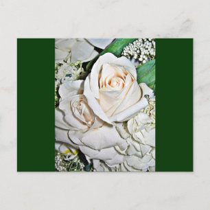 Die Rose_ Postkarte
