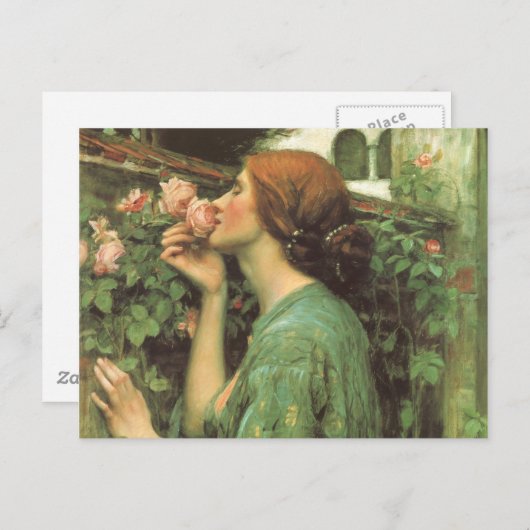 Die Rose Postkarte (Vorne/Hinten)