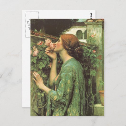 Die Rose Postkarte (Vorne/Hinten)