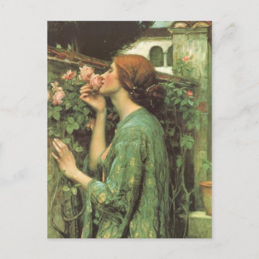 Die Rose Postkarte (Vorderseite)