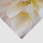 Die Rose Seidenpapier (Ausschnitt)