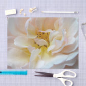 Die Rose Seidenpapier (Handwerk)