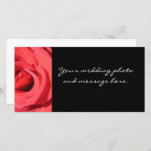 Die Rose von Kathryn Trembach Fotografy (Vorne/Hinten)