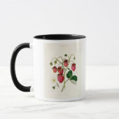 Die Roseberry Erdbeere, graviert durch Watte Tasse (Links)