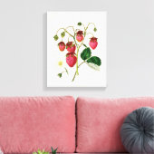 Die Roseberry-Erdbeere, graviert von Watte Leinwanddruck (Insitu (Wohnzimmer))