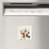 Die Roseberry-Erdbeere, graviert von Watte Magnet (In Situ (Geschirrspüler))