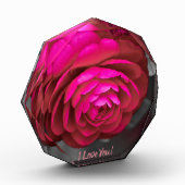 Die rosige Kamelie I Liebe Sie! Fotoblock (Links)