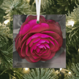Die rosige Kamelie Ornament Aus Glas