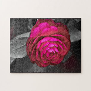 Die rosige Kamelie Puzzle