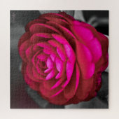 Die rosige Kamelie Puzzle (Horizontal)