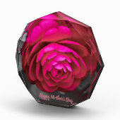 Die rosige Kamelie zum Muttertag Fotoblock (Rechts)