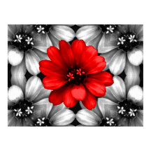 Die rote Blume ist anders