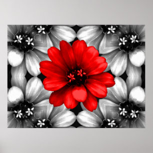 Die rote Blume ist anders Poster