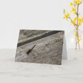 Die rote Dragonfly Karte (Gelbe Blume)