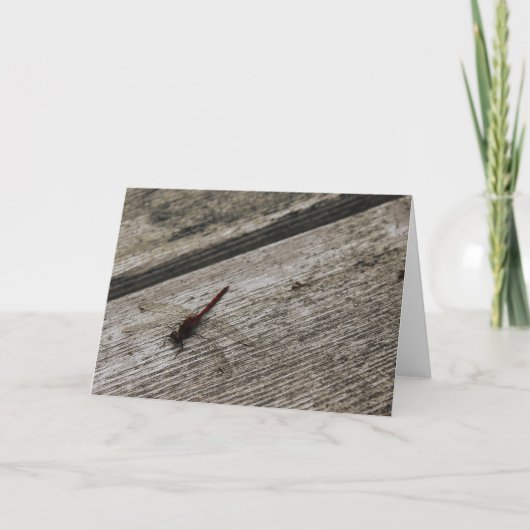 Die rote Dragonfly Karte (Vorderseite)