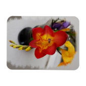 Die rote Freesie Magnet (Horizontal)