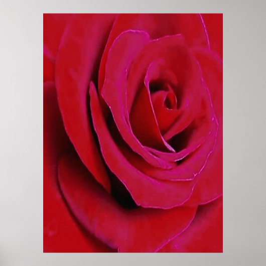 DIE ROTE ROSE                                      POSTER (Vorne)