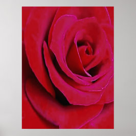 DIE ROTE ROSE      POSTER