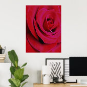 DIE ROTE ROSE      POSTER (Heimbüro)