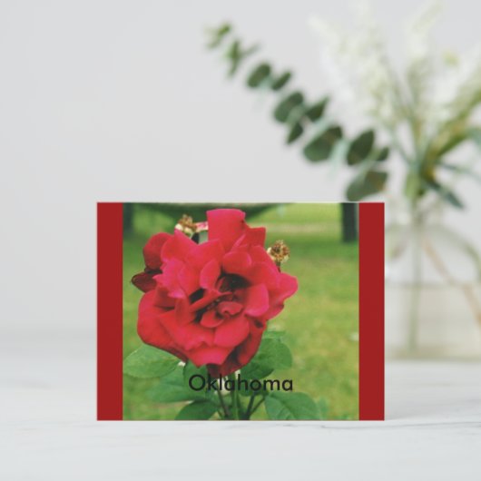 Die Rote Rose Postkarte (Stehend Vorderseite)