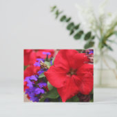 Die Rote und Lila Gesellschaft Postkarte (Stehend Vorderseite)
