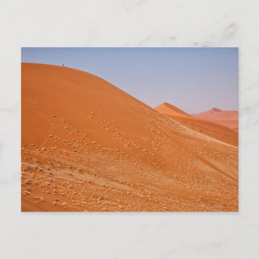 Die roten Dünen von Sossusvlei Postkarte (Vorderseite)