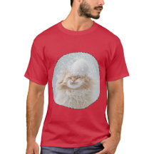 Die rothaarige Katze ist sehr entspannt, Flocken a