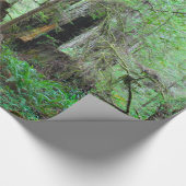 Die Rothölzer - Mammutbaum Geschenkpapier (Ecke)