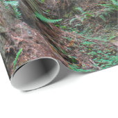 Die Rothölzer - Mammutbaum Geschenkpapier (Rolleneckpunkt)