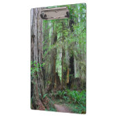 Die Rothölzer - Mammutbaum Klemmbrett (Links)