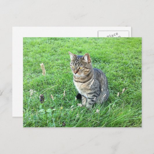 Die rubycotudiente Postkarte (Vorne/Hinten)