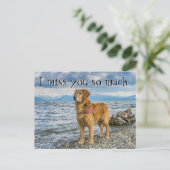 Die Rückkehr am Strand vermissen Sie Postkarte (Stehend Vorderseite)